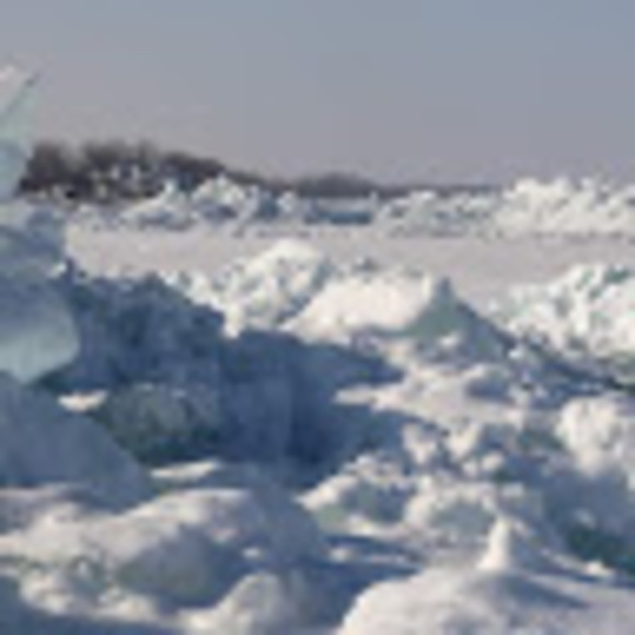 Meet your Posher, Wooly - Picture 1 of 1